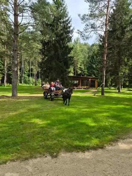 Vaikai su žirgais pievoje